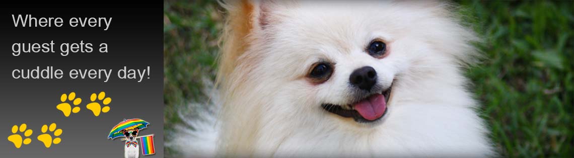 02_slideshow_new